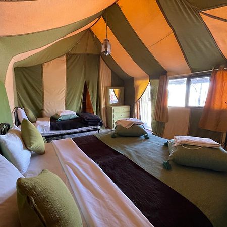 Roses Desert Camp Merzouga Exteriör bild